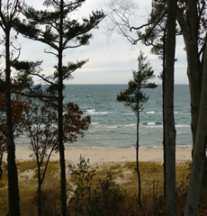beach